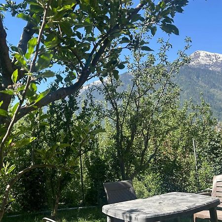 Sunface Homestay Manāli Eksteriør billede