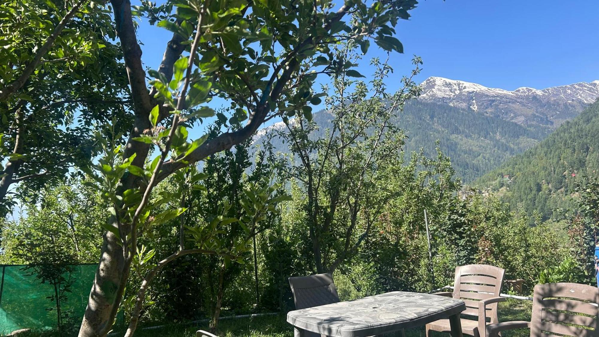 Sunface Homestay Manāli Eksteriør billede